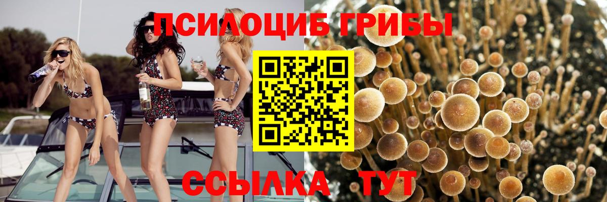 Псилоцибиновые грибы ЛСД Симферополь